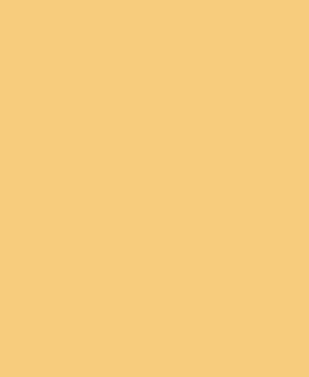 Rectangle62624