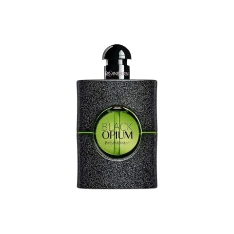 Slika 1