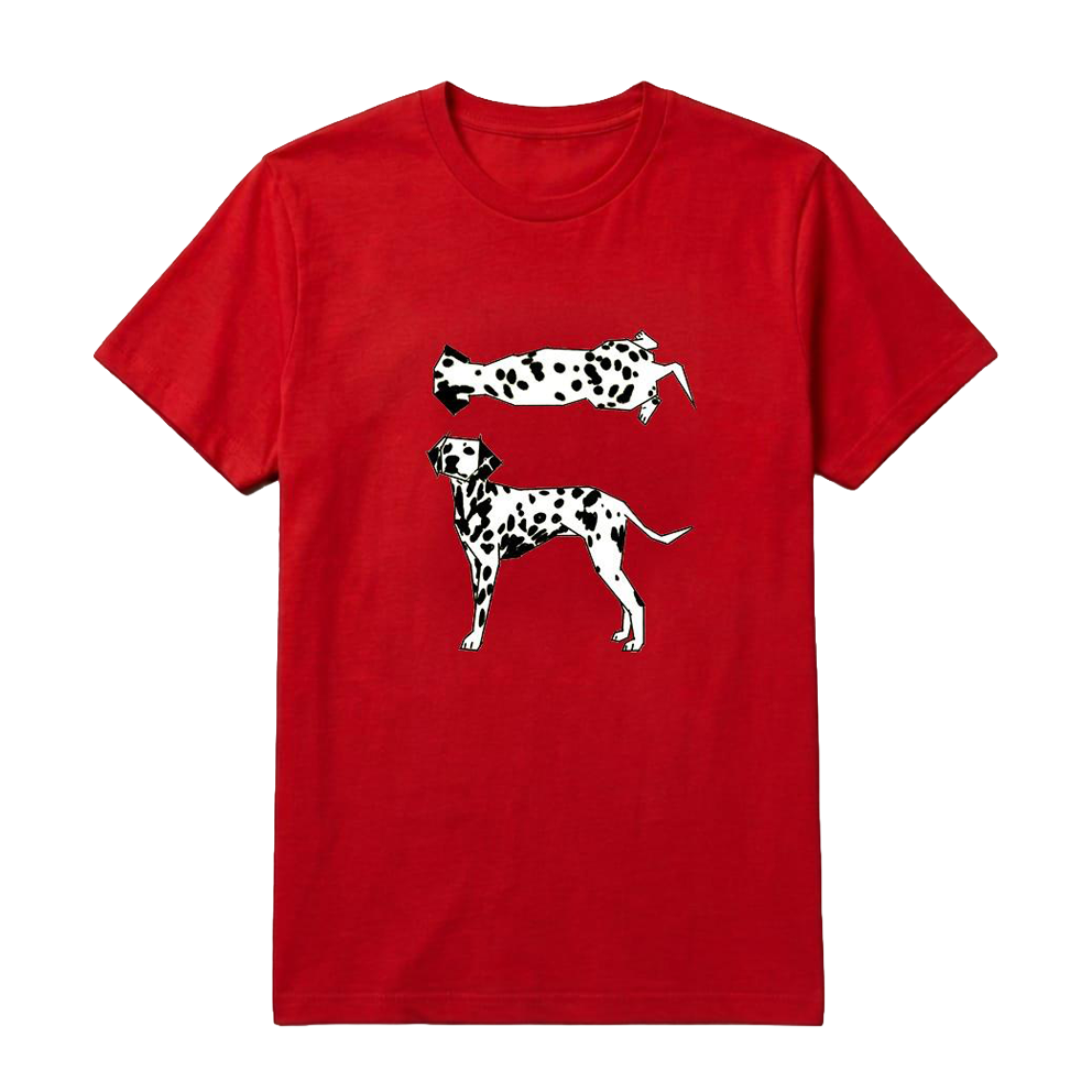 Točkasti kontrast