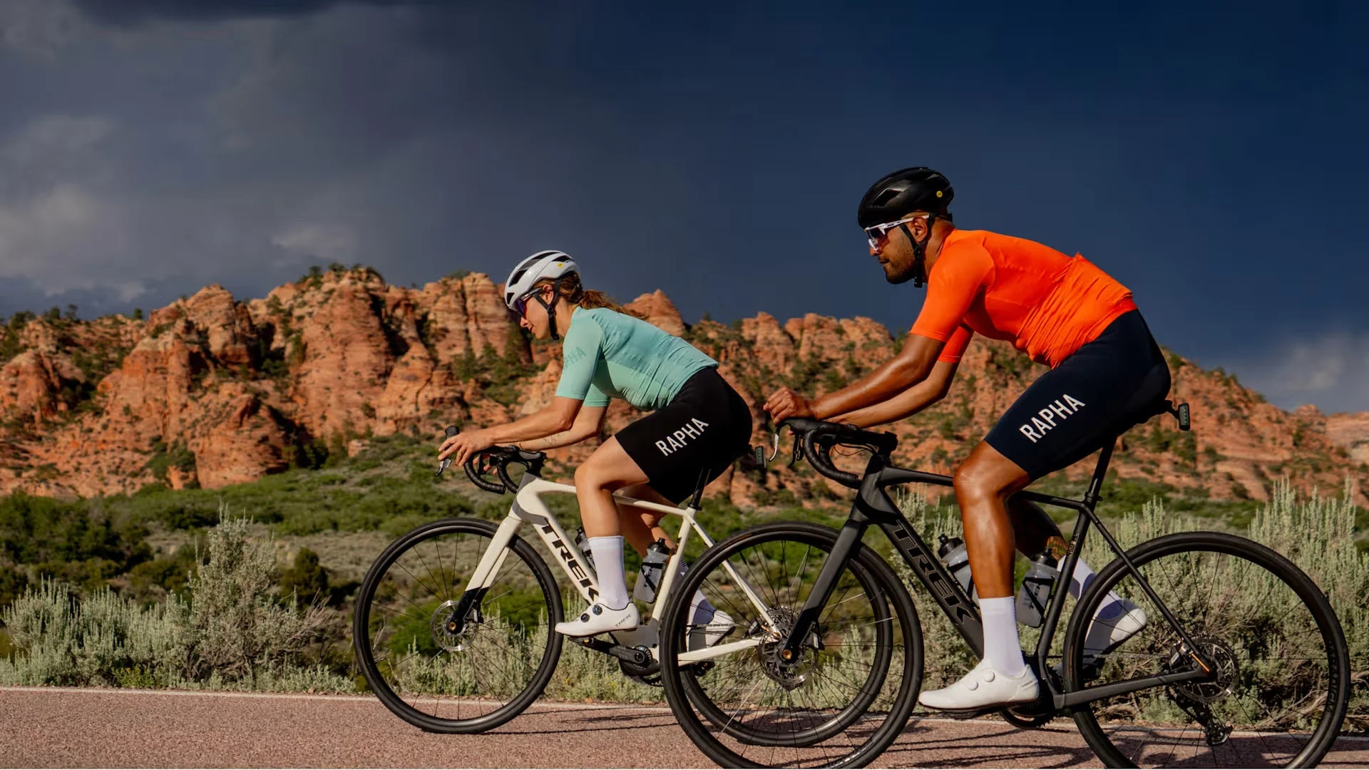 Trek Bike