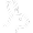 Bunny icon